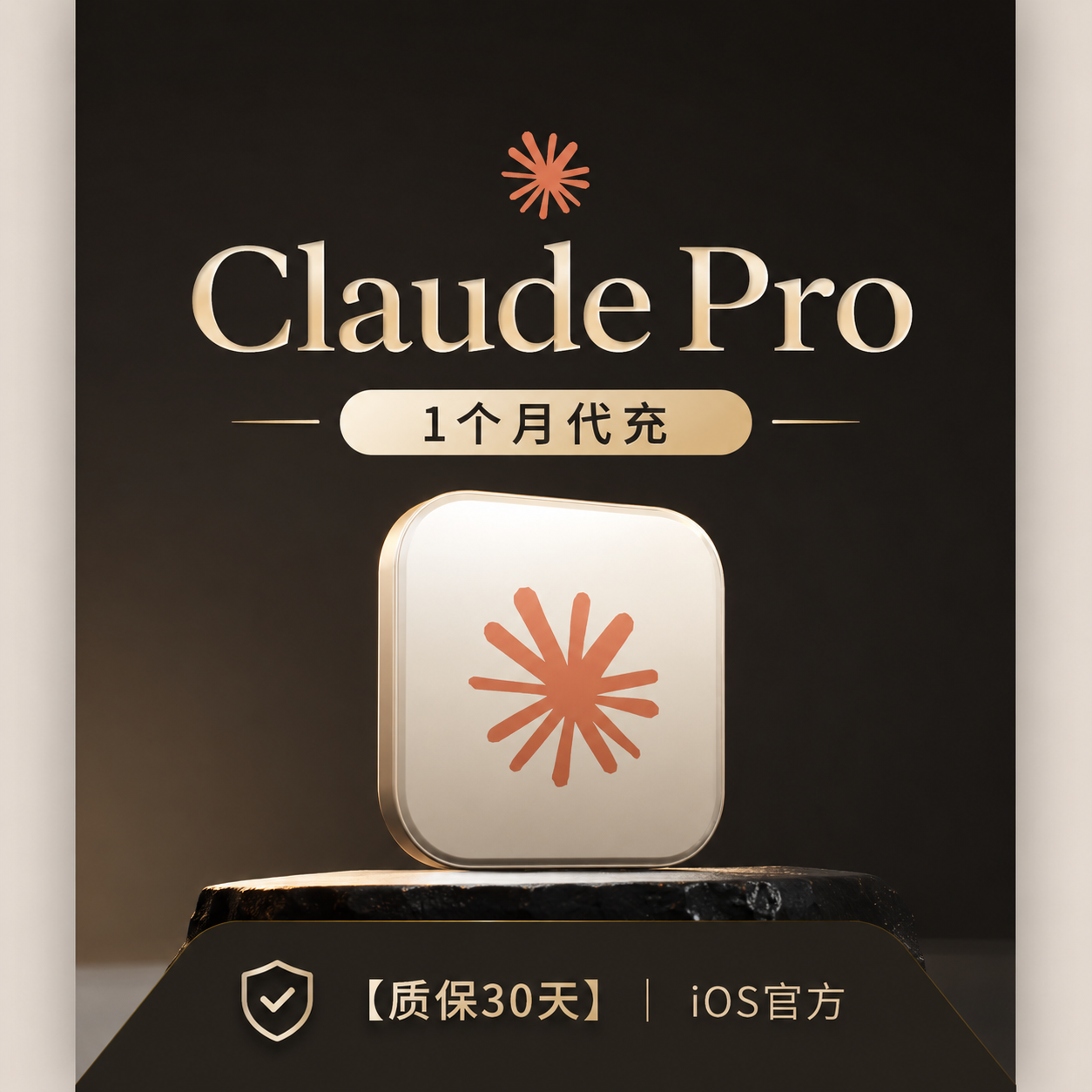 【IOS美区】Claude Pro 官方充值月卡 (正规实付,质保订阅30天)