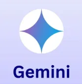 谷歌Gemini Pro 18个月Pro 成品号
